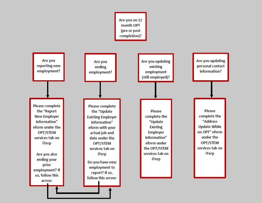 OPT Flowchart